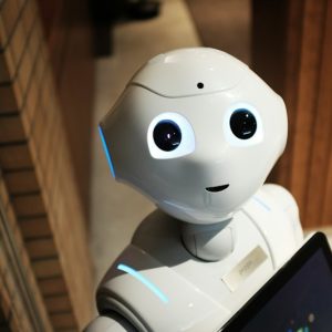 Bộ Robot Lắp Ráp Năng Lượng Mặt Trời 14 Trong 1 STEM Bot - Ảnh 1 Bộ Robot Lắp Ráp Năng Lượng Mặt Trời 14 Trong 1 STEM Bot - 8 - 14 tuổi - Góc chụp 1 chính hãng Daisy Mart