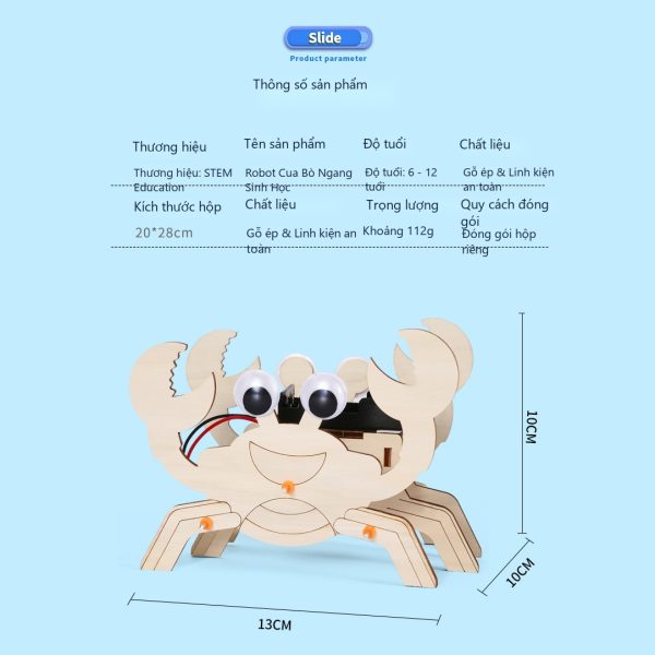 Đồ Chơi STEM Robot Cua Tám Chân Bò Ngang Cơ Cấu Chân Sinh Học Klann - 6 - 12 tuổi - Góc chụp 2 chính hãng Daisy Mart