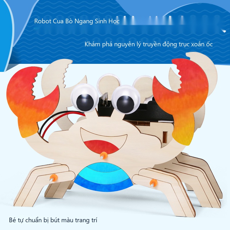 Đồ Chơi STEM Robot Cua Tám Chân Bò Ngang Cơ Cấu Chân Sinh Học Klann - 6 - 12 tuổi - Góc chụp 7 chính hãng Daisy Mart