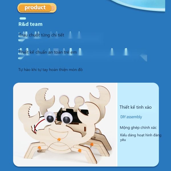 Đồ Chơi STEM Robot Cua Tám Chân Bò Ngang Cơ Cấu Chân Sinh Học Klann - 6 - 12 tuổi - Góc chụp 9 chính hãng Daisy Mart